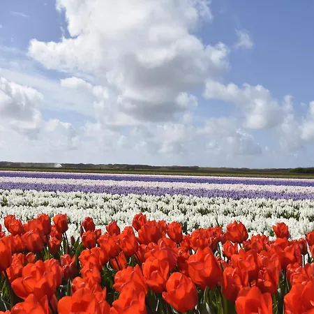 In Holland Near Beaches, Cleaning Included *