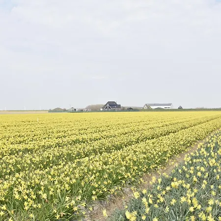 In Holland Near Beaches, Cleaning Included * Callantsoog